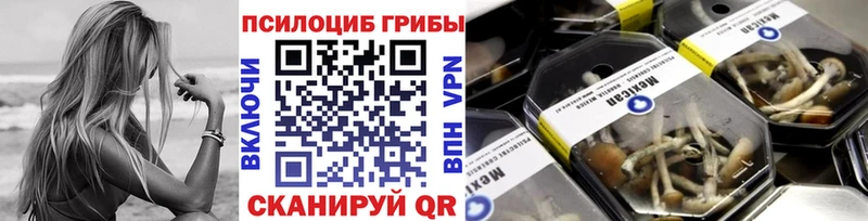 Галлюциногенные грибы GOLDEN TEACHER  Семикаракорск 